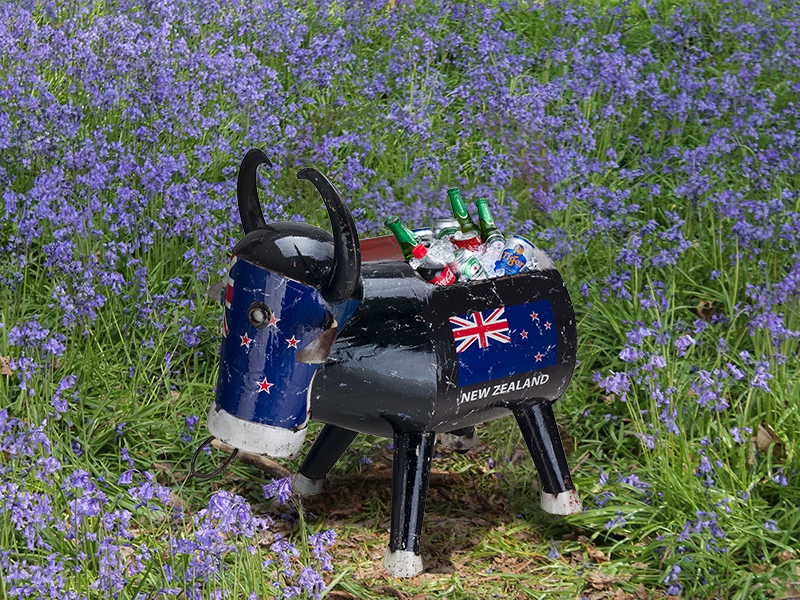 Product photograph of Bruce The Bull Cooler - New Zealand - Ex Display from The Garden Furniture Centre Ltd