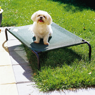 Product photograph of Dog Bed - Small from The Garden Furniture Centre Ltd