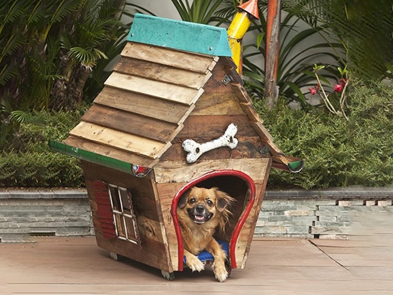 Product photograph of The Shack Dog House from The Garden Furniture Centre Ltd