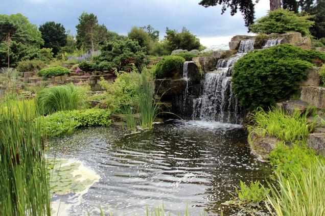 Alpine Rock Gardens Kew Gardens